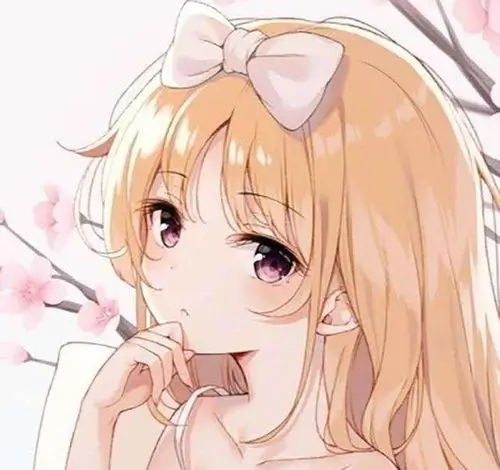 555用户